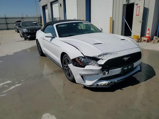 2019 Ford Mustang VIN: 1FATP8UH0K5170720 Lot: 81104355