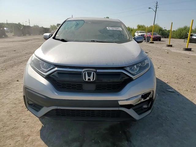 2020 Honda Cr-V Ex VIN: 7FARW2H51LE019460 Lot: 81323565