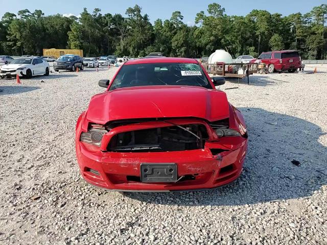 2013 Ford Mustang VIN: 1ZVBP8AMXD5254857 Lot: 81086305