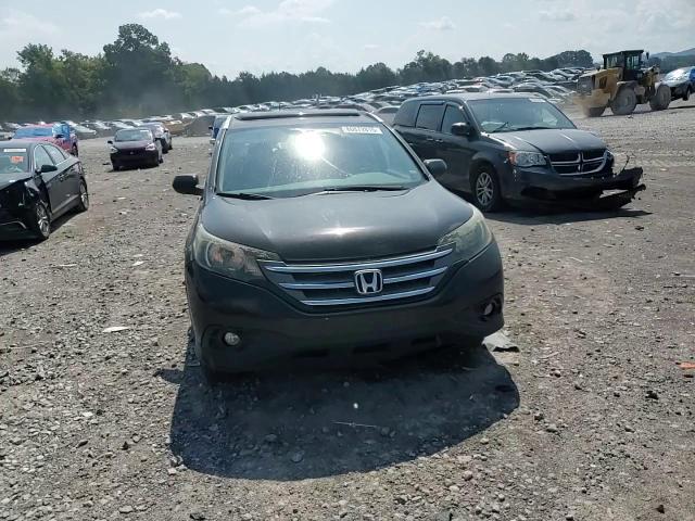 2014 Honda Cr-V Exl VIN: 2HKRM3H77EH534640 Lot: 80872815