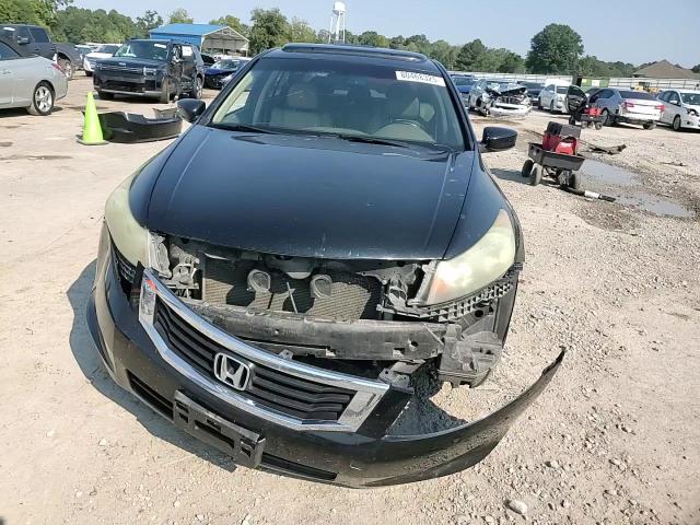 2010 Honda Accord Exl VIN: 1HGCP2F85AA177187 Lot: 80468325