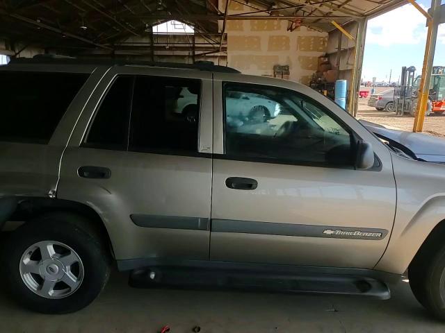 2003 Chevrolet Trailblazer VIN: 1GNDS13SX32108396 Lot: 71898915