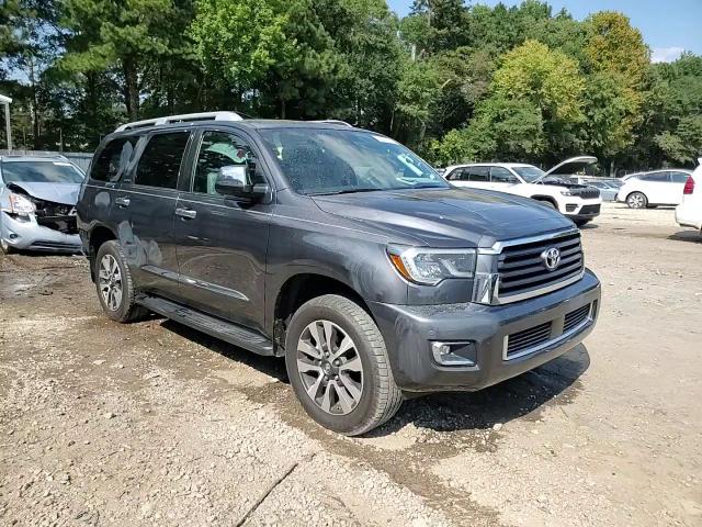 2019 Toyota Sequoia Limited VIN: 5TDJY5G1XKS172738 Lot: 80293615