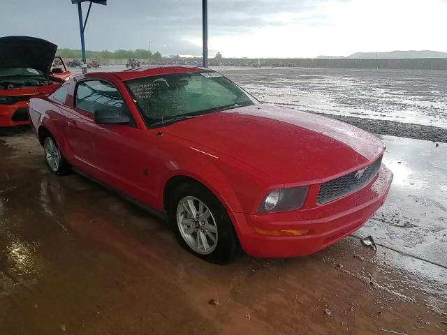 2009 Ford Mustang VIN: 1ZVHT80N995133437 Lot: 81881755