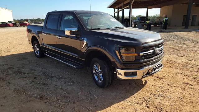 2024 Ford F150 Xlt VIN: 1FTEW3K85RFA17699 Lot: 81895695