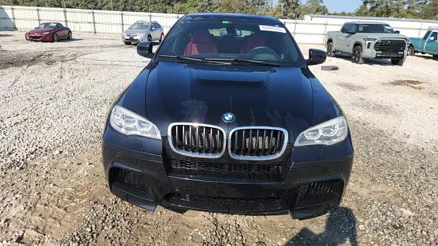 2013 BMW X6 M VIN: 5YMGZ0C55DLL30109 Lot: 80489555