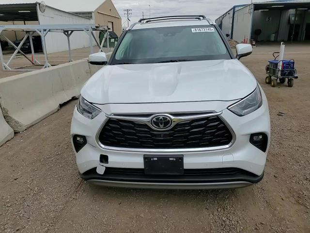 2022 Toyota Highlander Platinum VIN: 5TDFZRBH8NS226136 Lot: 85089425