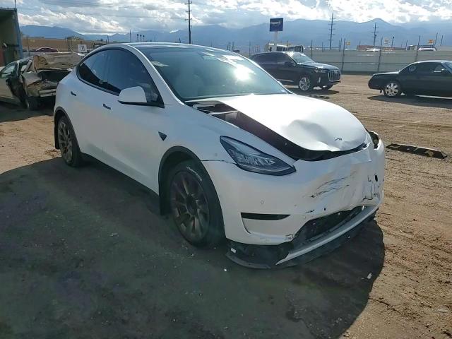 2022 Tesla Model Y VIN: 7SAYGDEE4NF354657 Lot: 81276555