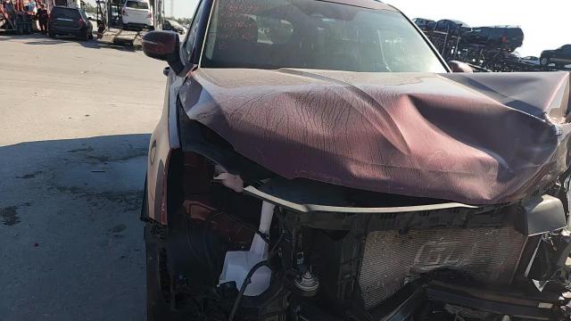 2024 Kia Telluride Ex VIN: 5XYP34GC5RG482291 Lot: 81502855