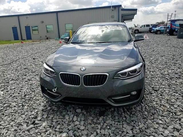 2017 BMW 230I VIN: WBA2F9C36HV664946 Lot: 84608015