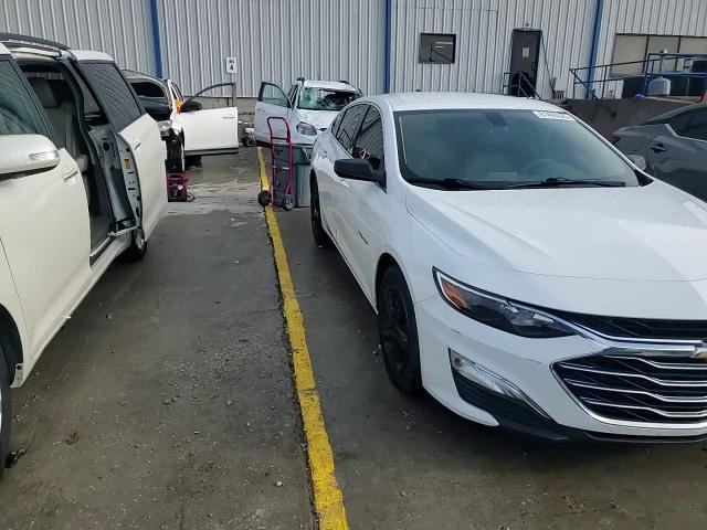 2019 Chevrolet Malibu Ls VIN: 1G1ZC5ST4KF196326 Lot: 81493025