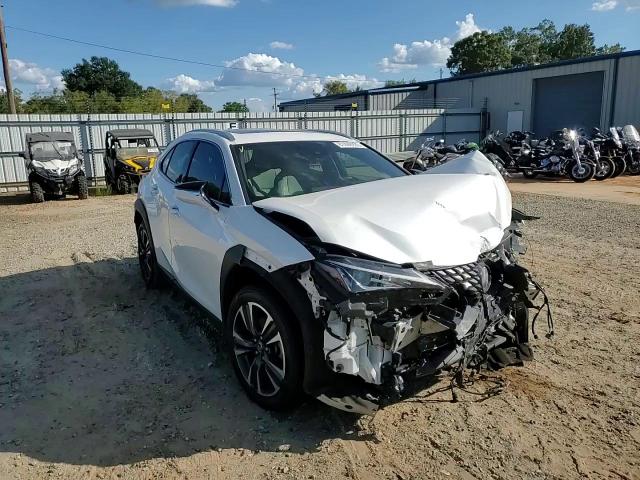 2019 Lexus Ux 200 VIN: JTHY3JBH9K2017081 Lot: 81448935