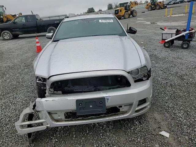 2014 Ford Mustang VIN: 1ZVBP8AM5E5240382 Lot: 81795725