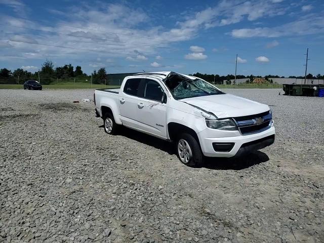 2019 Chevrolet Colorado VIN: 1GCGSBEN5K1172899 Lot: 71038815