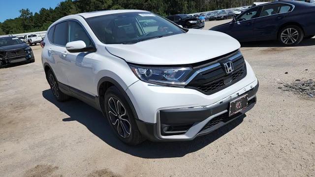 2020 Honda Cr-V Exl VIN: 5J6RW1H89LL013896 Lot: 80393715