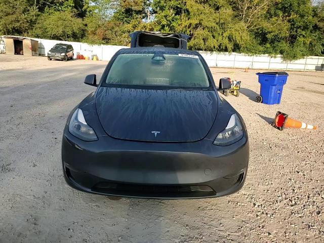2023 Tesla Model Y VIN: 7SAYGDEE8PF928616 Lot: 81462345