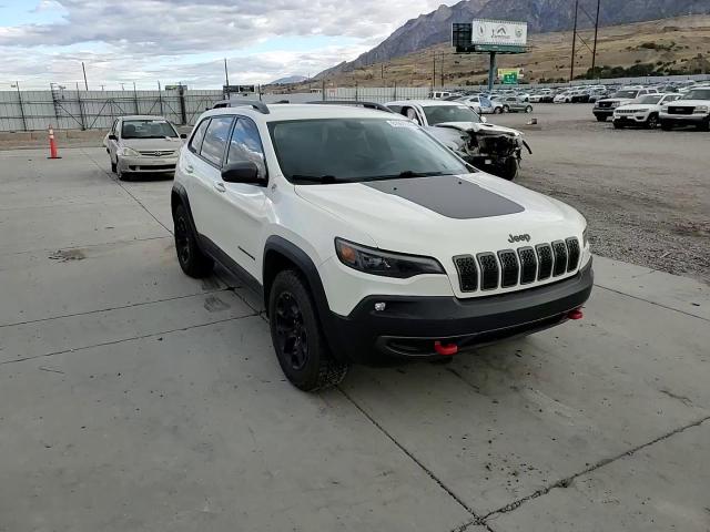 2019 Jeep Cherokee Trailhawk VIN: 1C4PJMBX0KD141160 Lot: 81869395