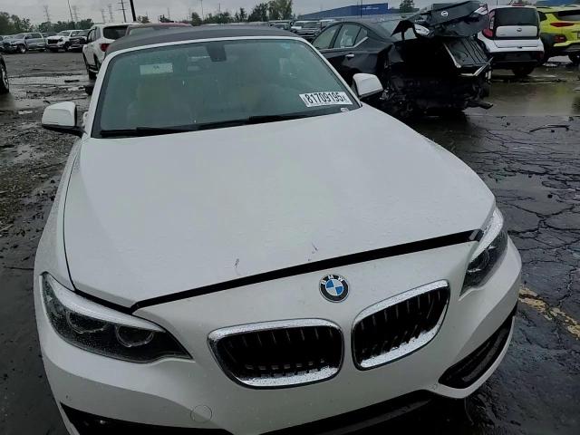 2018 BMW 230Xi VIN: WBA2K1C52JVD41260 Lot: 81709195