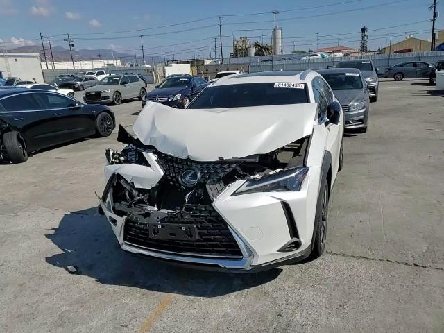 2024 Lexus Ux 250H Base VIN: JTHX6JBH8R2191253 Lot: 81482435
