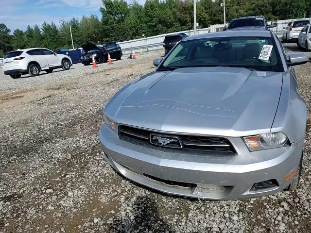 2011 Ford Mustang VIN: 1ZVBP8AM1B5121790 Lot: 81656725