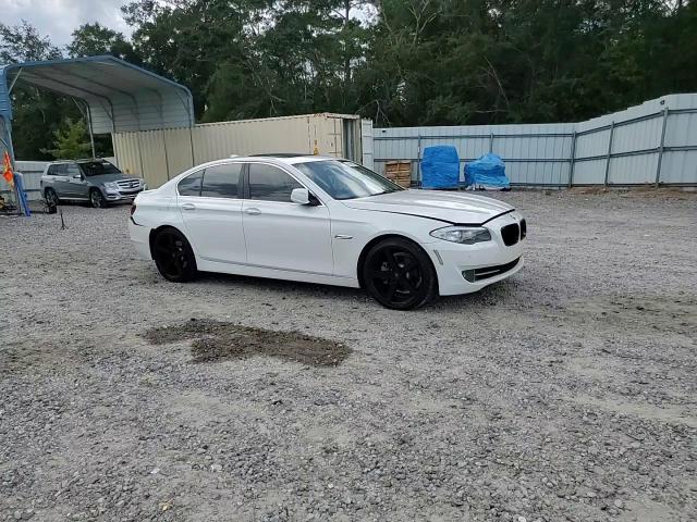 2013 BMW 528 I VIN: WBAXG5C50DD234424 Lot: 81818875