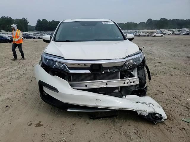 2019 Honda Pilot Exl VIN: 5FNYF6H56KB071910 Lot: 80306315