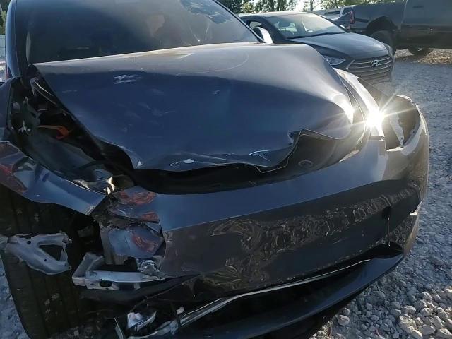 2023 Tesla Model Y VIN: 7SAYGDEEXPF689599 Lot: 81930495