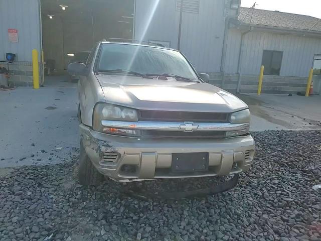2005 Chevrolet Trailblazer Ls VIN: 1GNDT13S752206902 Lot: 81342035