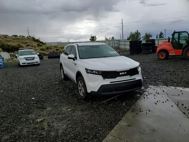 2023 Kia Sorento Lx VIN: 5XYRGDLC0PG167480 Lot: 80137275