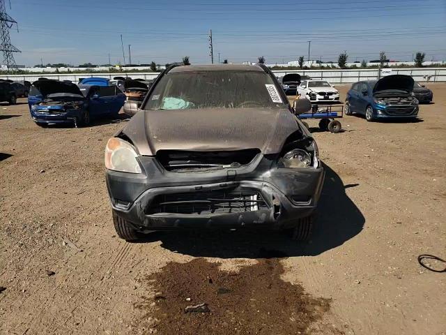 2004 Honda Cr-V Ex VIN: JHLRD788X4C052631 Lot: 80872035