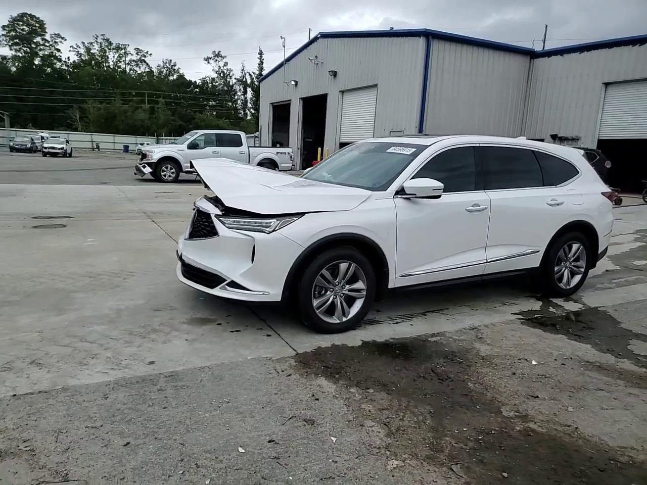 Фото: 5J8YD9H31RL003013