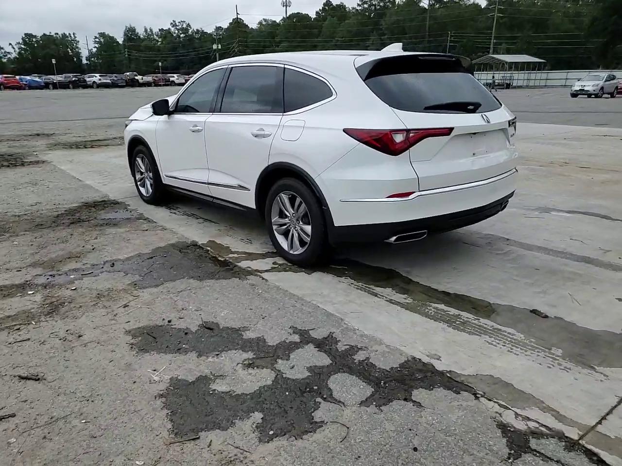 Фото: 5J8YD9H31RL003013