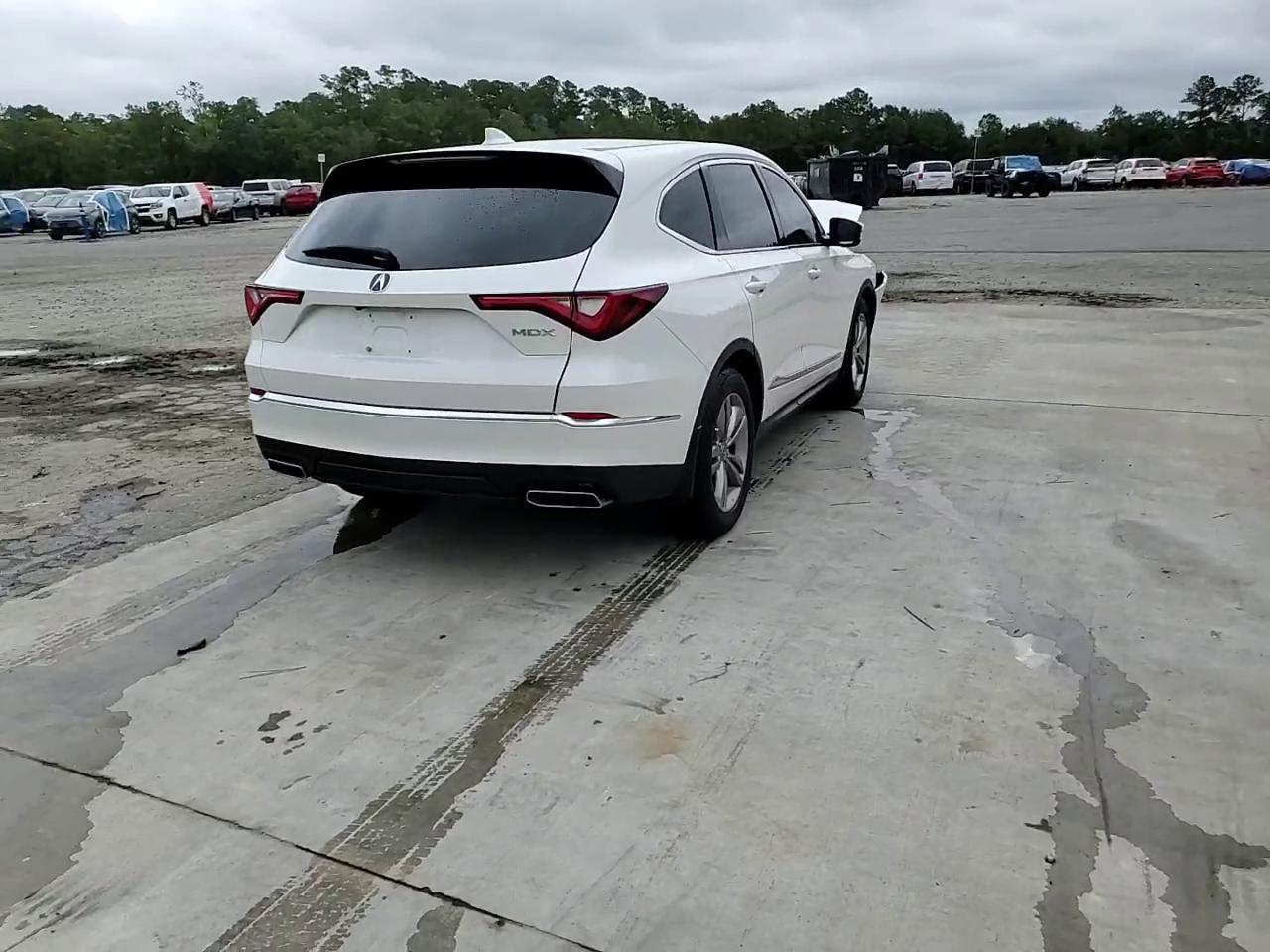 Фото: 5J8YD9H31RL003013