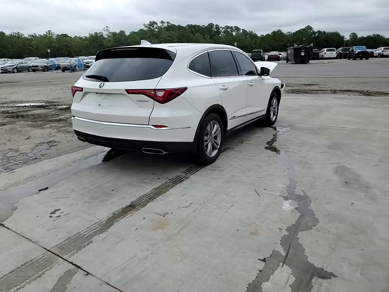 Фото: 5J8YD9H31RL003013