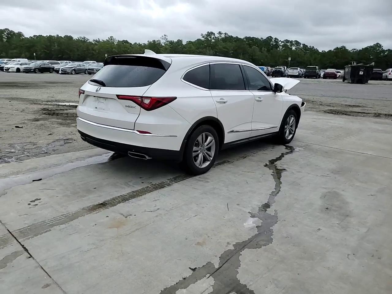 Фото: 5J8YD9H31RL003013