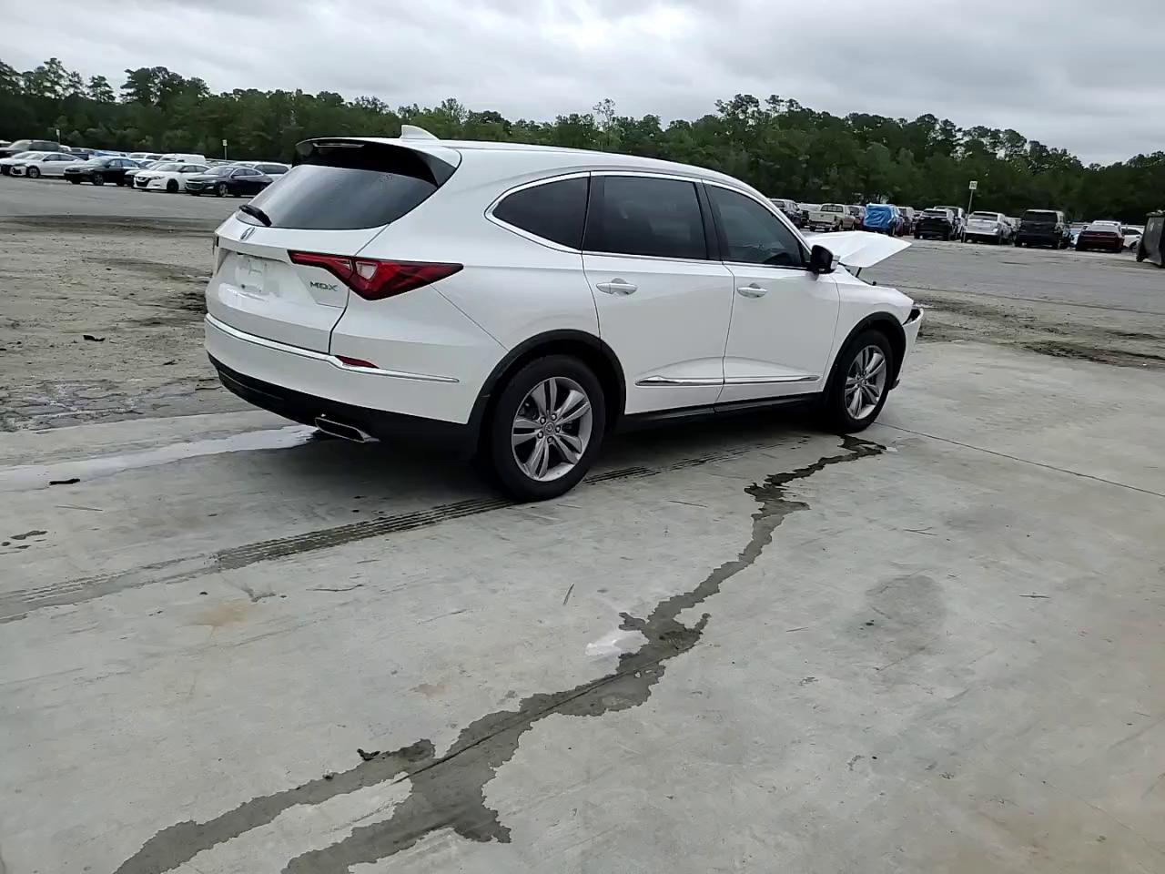 Фото: 5J8YD9H31RL003013