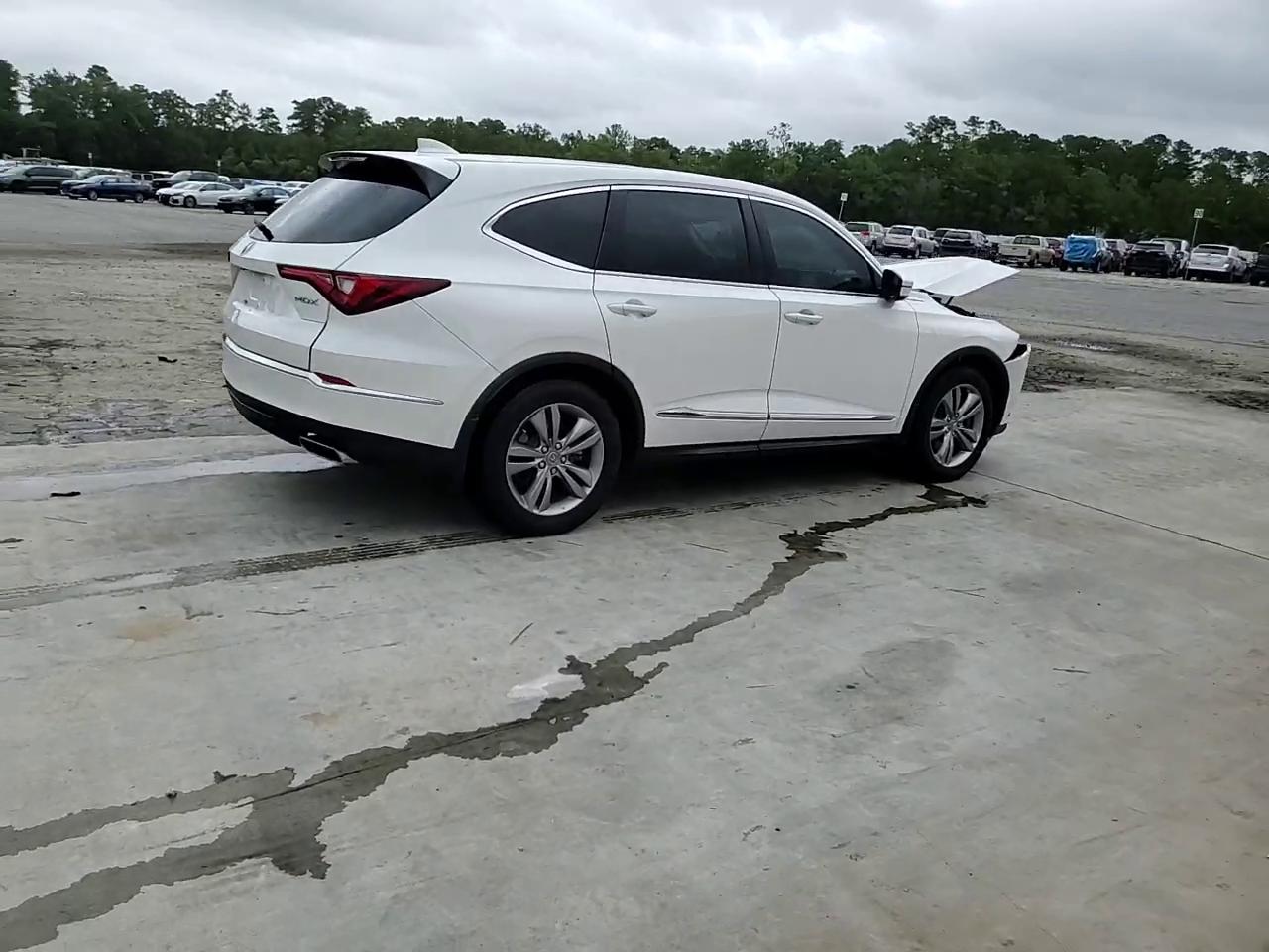 Фото: 5J8YD9H31RL003013