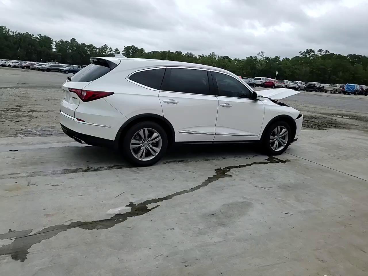 Фото: 5J8YD9H31RL003013