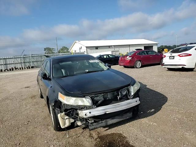 2009 Acura Tl VIN: 19UUA86519A010531 Lot: 81530345
