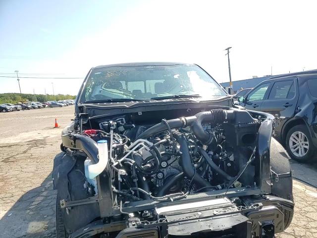 2025 Ford F150 Xlt VIN: 1FTEW3LP1SKE37558 Lot: 71867395