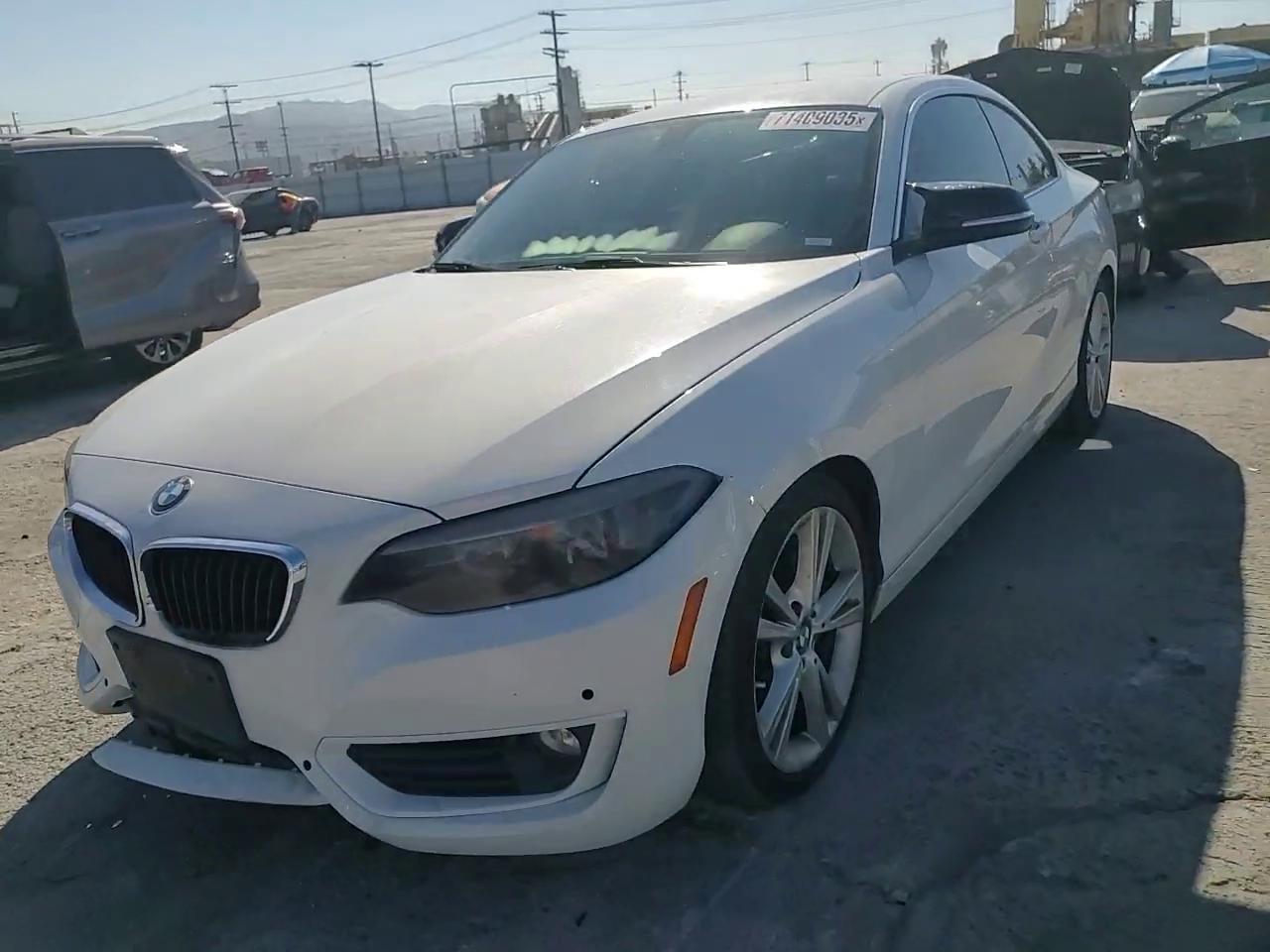 Фото: WBA1F5C56EVV99551