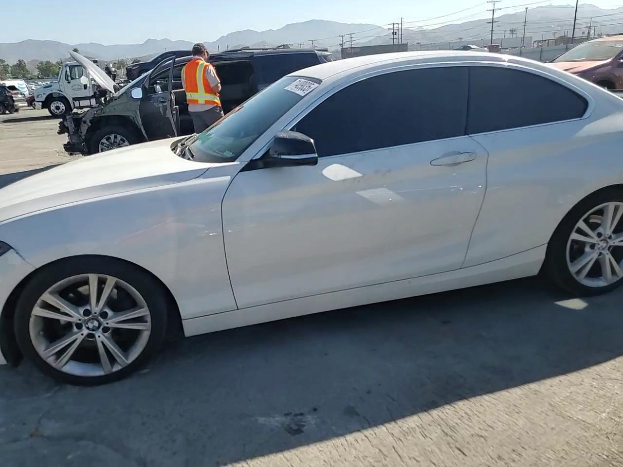 Фото: WBA1F5C56EVV99551