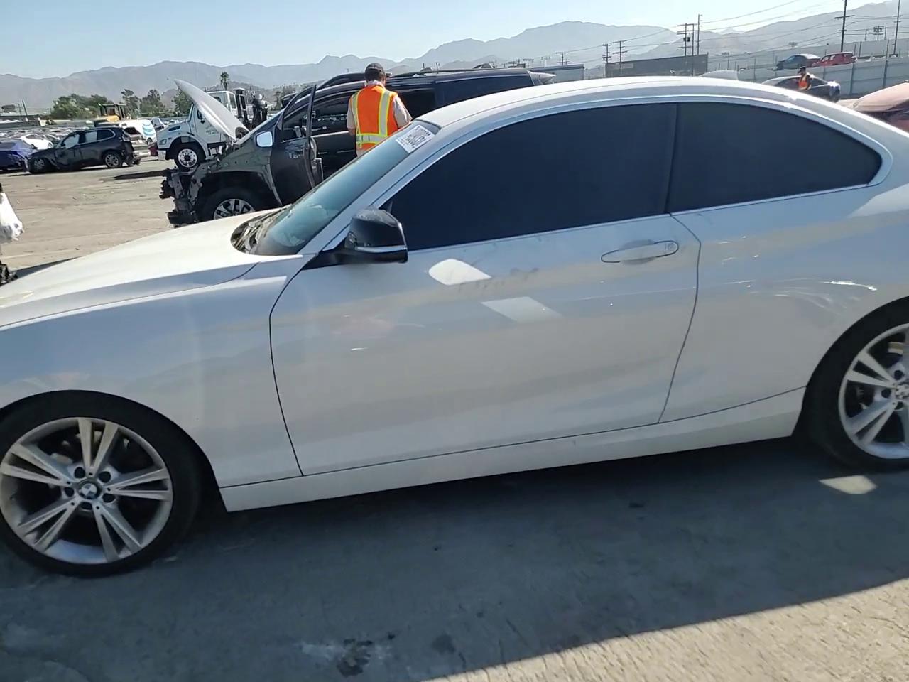 Фото: WBA1F5C56EVV99551