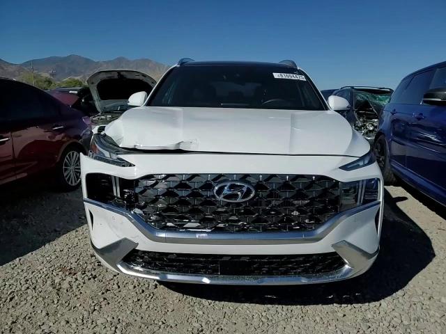 2023 Hyundai Santa Fe Calligraphy VIN: 5NMS5DAL4PH644170 Lot: 81694475