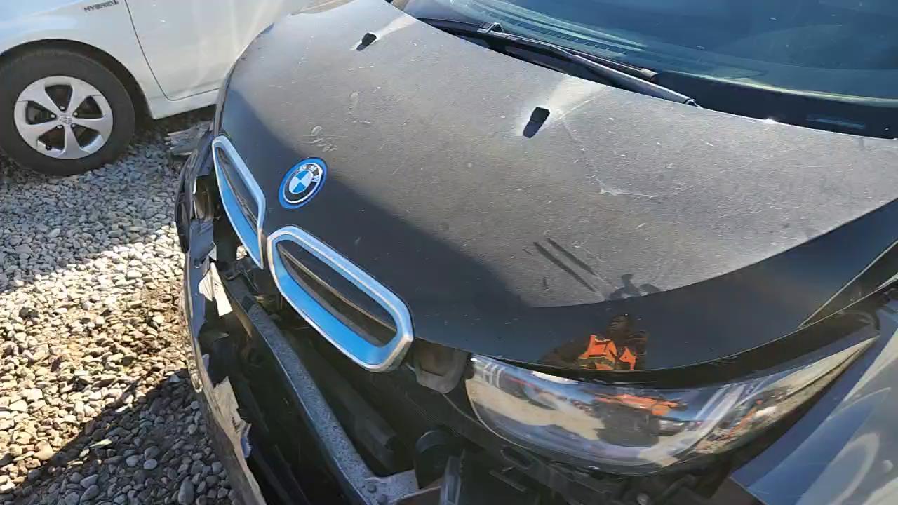 Фото: WBY1Z6C35H7A39691