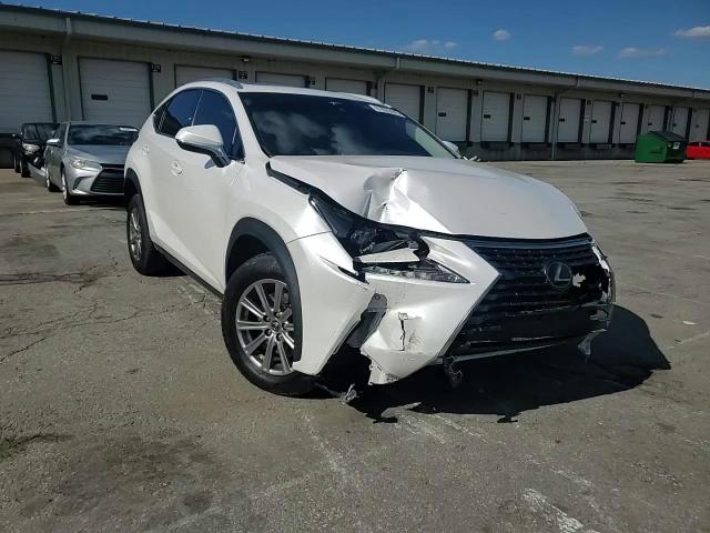 2021 Lexus Nx 300 Base VIN: JTJDARDZ9M5028509 Lot: 81855445