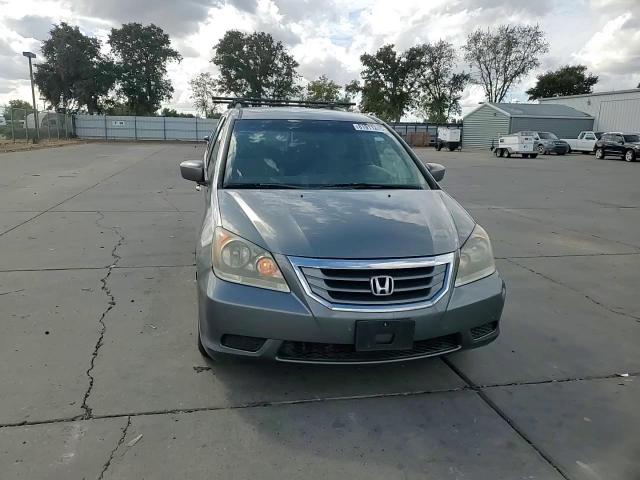 2009 Honda Odyssey Ex VIN: 5FNRL38419B402244 Lot: 81911245