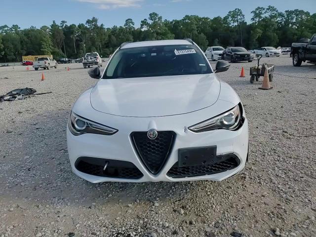2020 Alfa Romeo Stelvio VIN: ZASPAJAN9L7C90916 Lot: 81315495