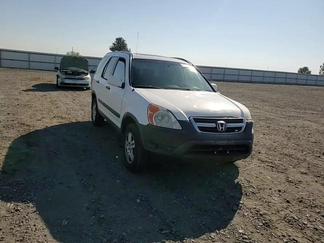 2004 Honda Cr-V Ex VIN: JHLRD78884C005145 Lot: 81692985