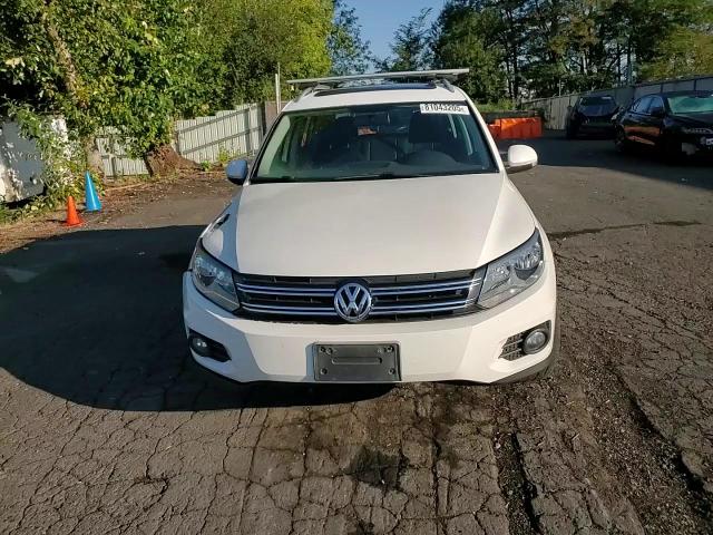 2012 Volkswagen Tiguan S VIN: WVGAV7AX7CW590379 Lot: 81043205